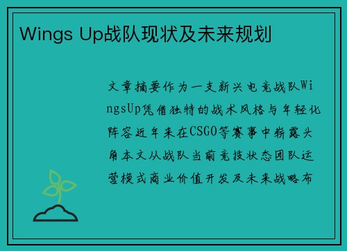 Wings Up战队现状及未来规划