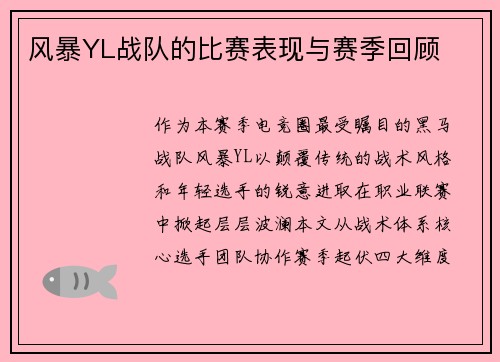 风暴YL战队的比赛表现与赛季回顾